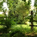 Frühjahrsputz auf dem Kirchengelände!